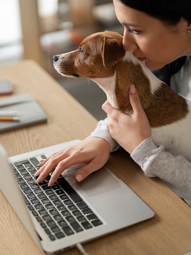 A little dog in the lap of a woman at home on her computer