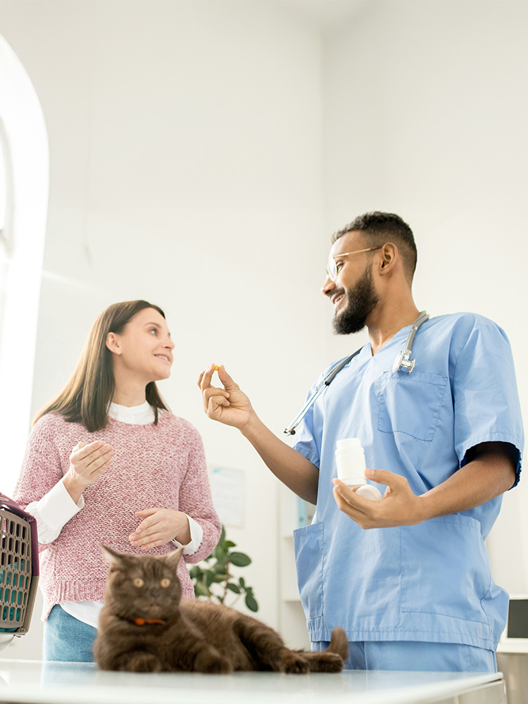 A veterinarian explaining a medication to a cat owner